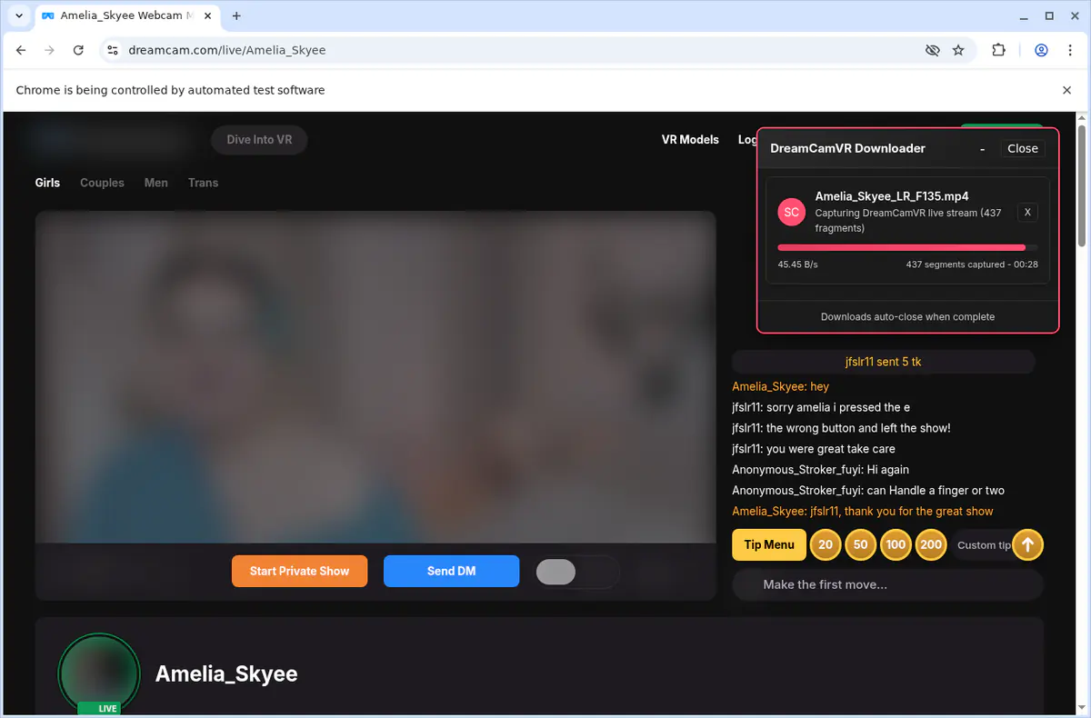 Dreamcamvr Video Downloader browser extension screenshot 3
