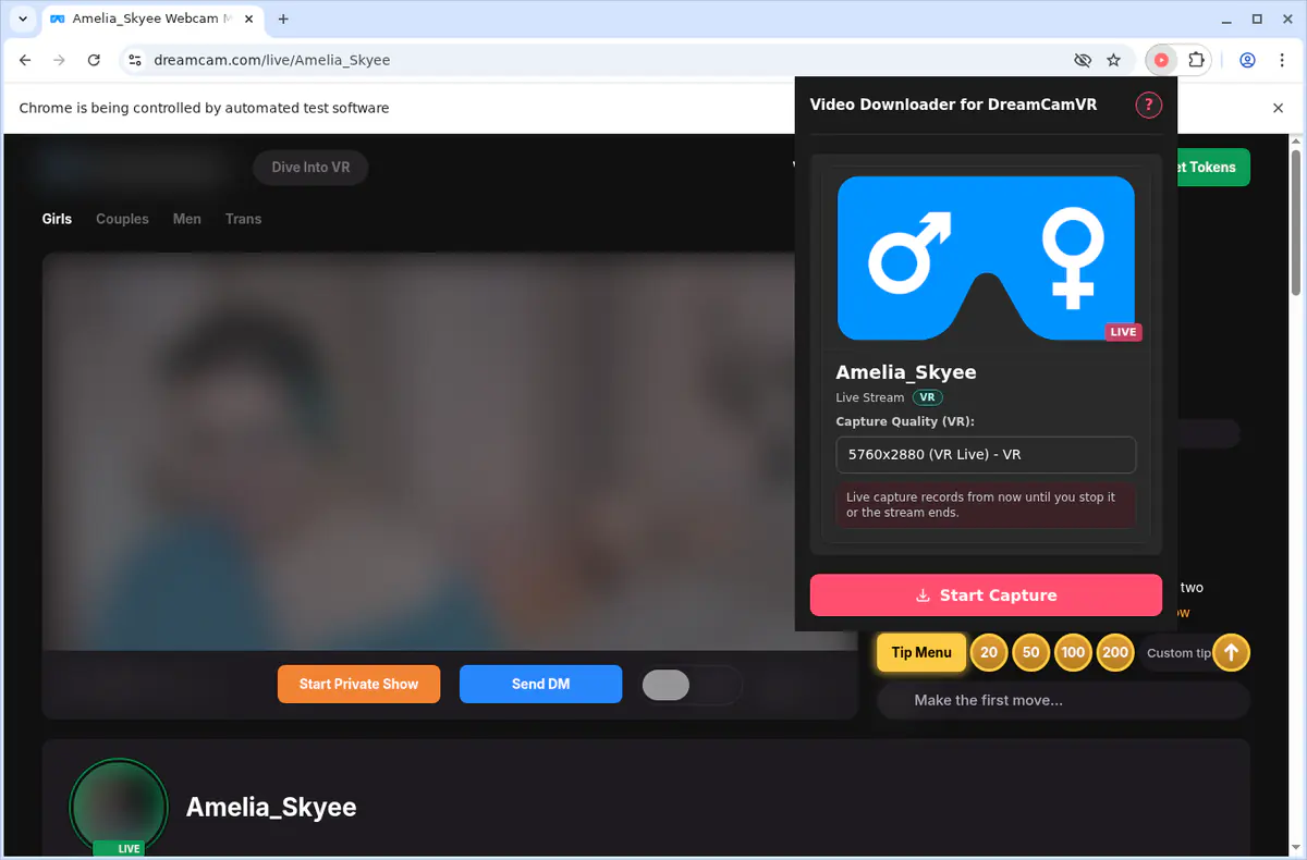 Dreamcamvr Video Downloader browser extension screenshot 5